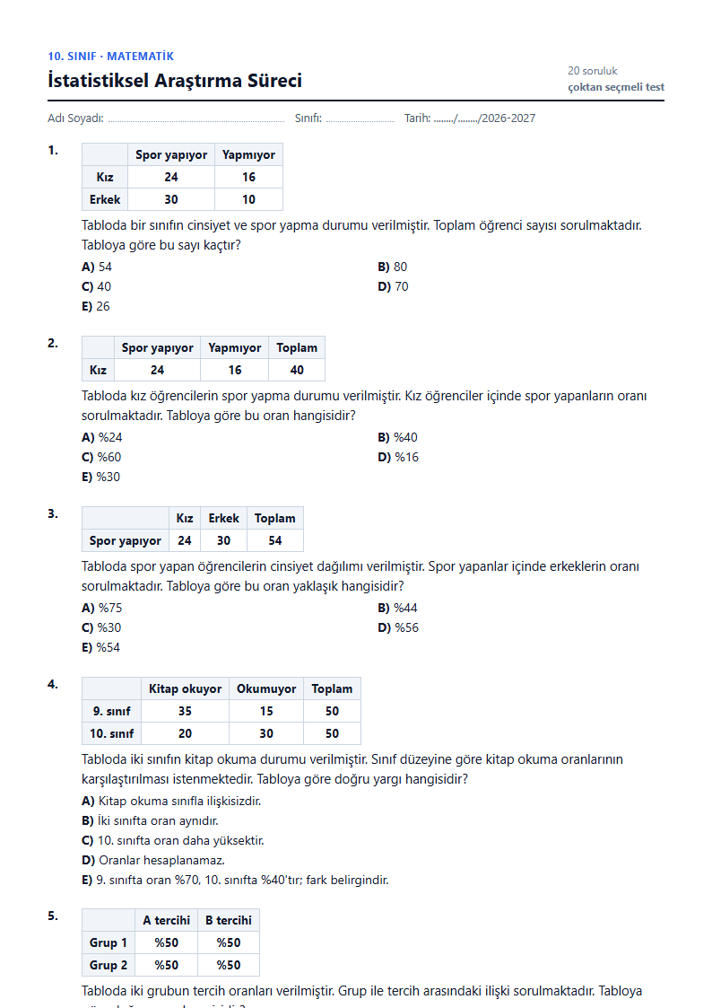 İstatistiksel Araştırma Süreci çalışma kağıdı önizlemesi