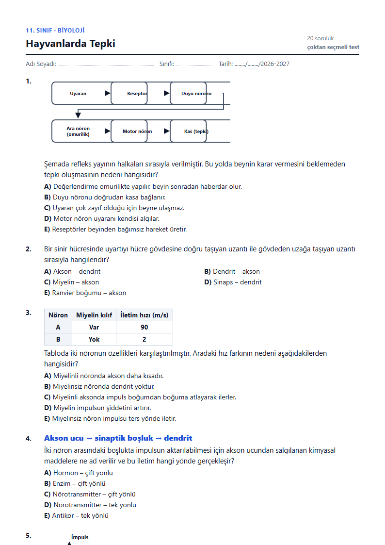 Hayvanlarda Tepki çalışma kağıdı önizlemesi