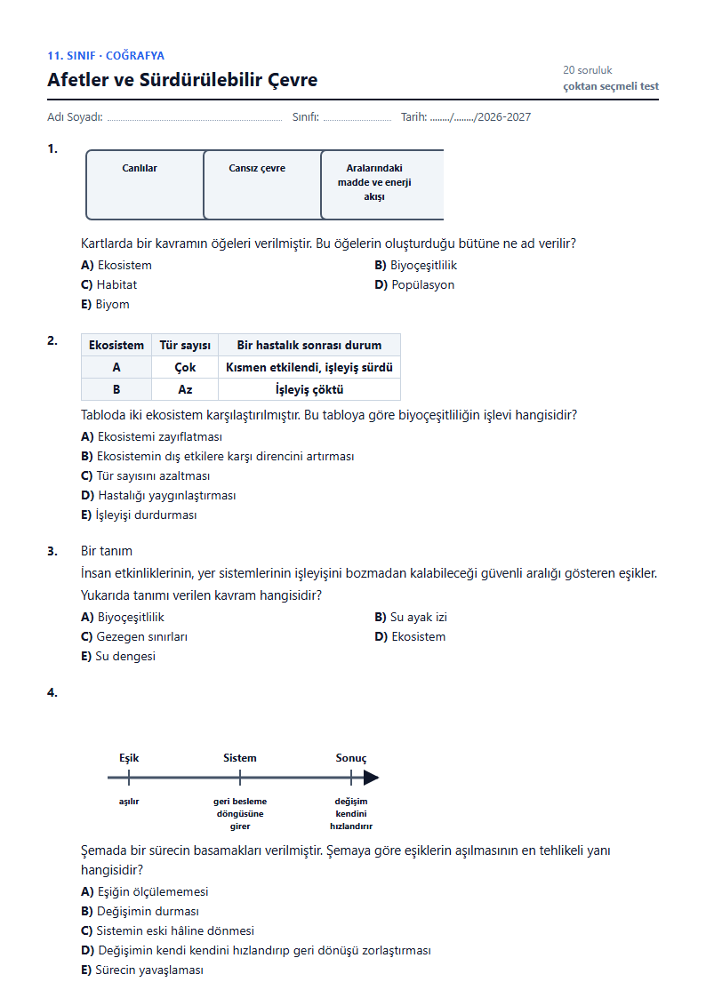 Afetler ve Sürdürülebilir Çevre çalışma kağıdı önizlemesi
