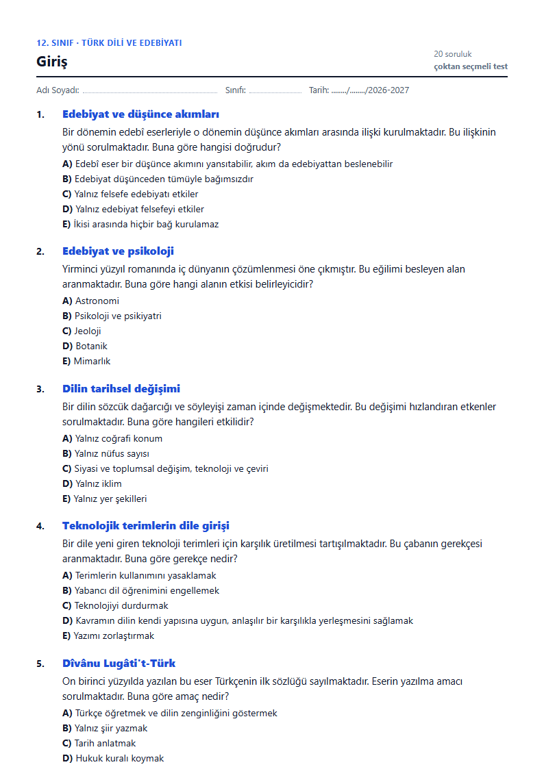 Giriş çalışma kağıdı önizlemesi