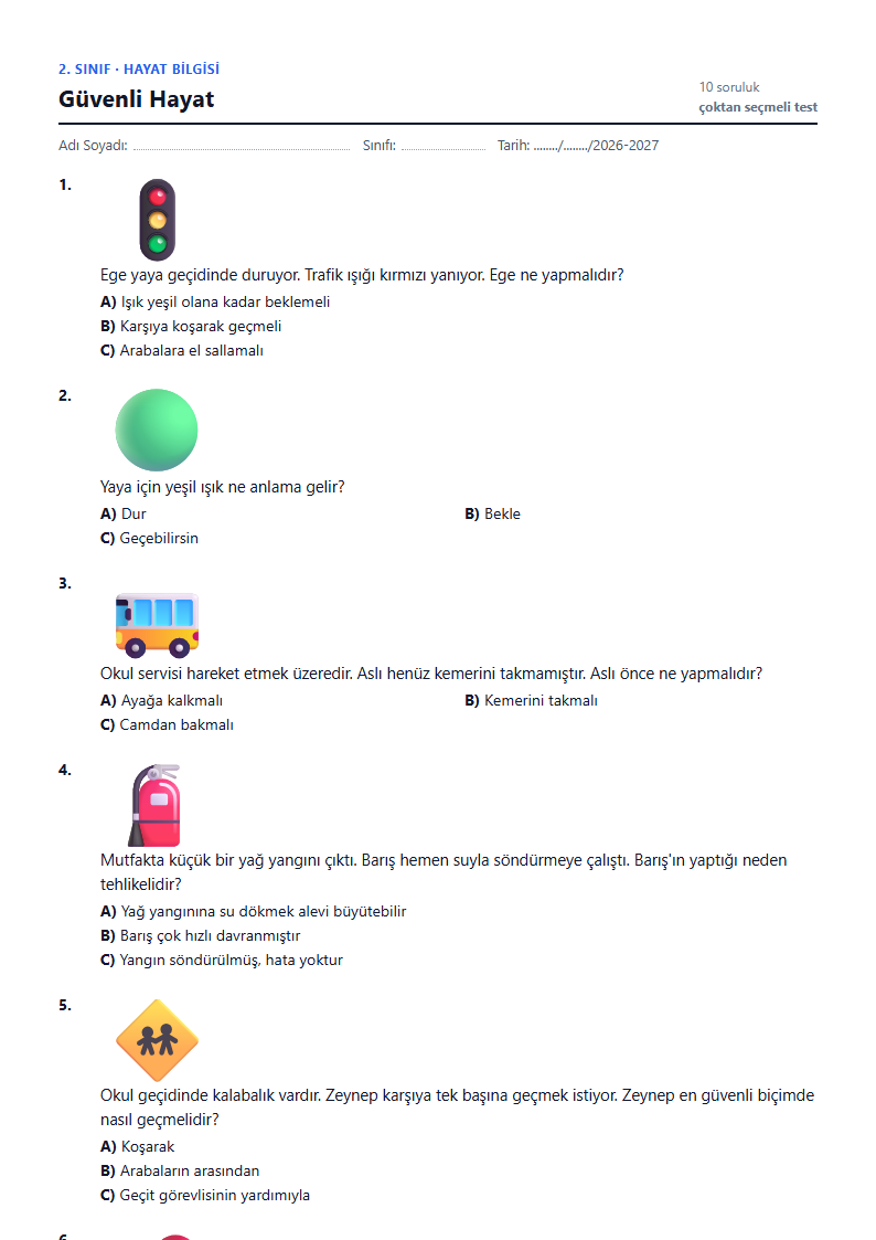 Güvenli Hayat çalışma kağıdı önizlemesi