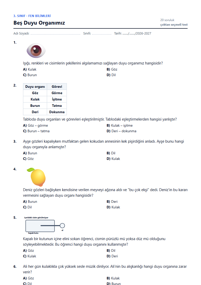 Beş Duyu Organımız çalışma kağıdı önizlemesi