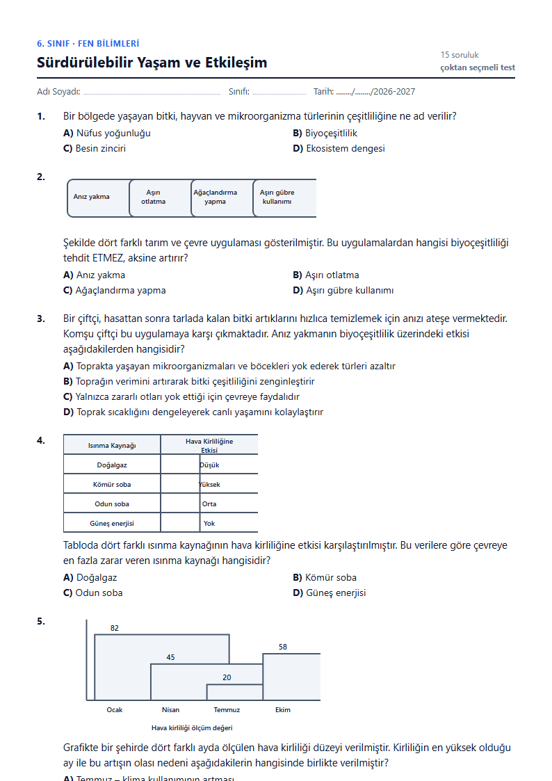 Sürdürülebilir Yaşam ve Etkileşim çalışma kağıdı önizlemesi